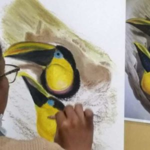 Stage pastels gras pour Ado